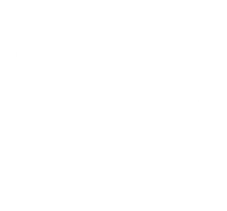 Справедливая Россия